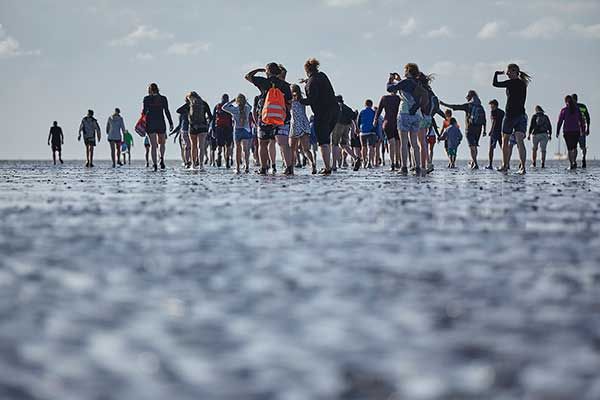 Wattwandern in die Niederlande