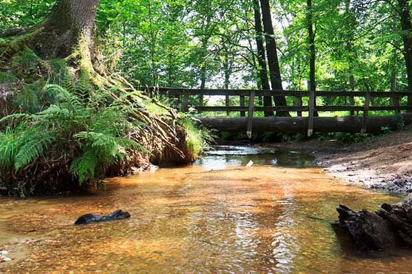 Hotel in Limburg Niederlande nahe Wald und Natur