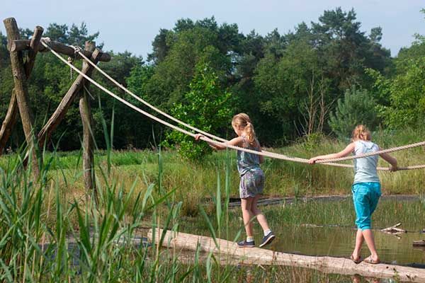 Kinder gehen auf Entdeckungstour im Spielwald