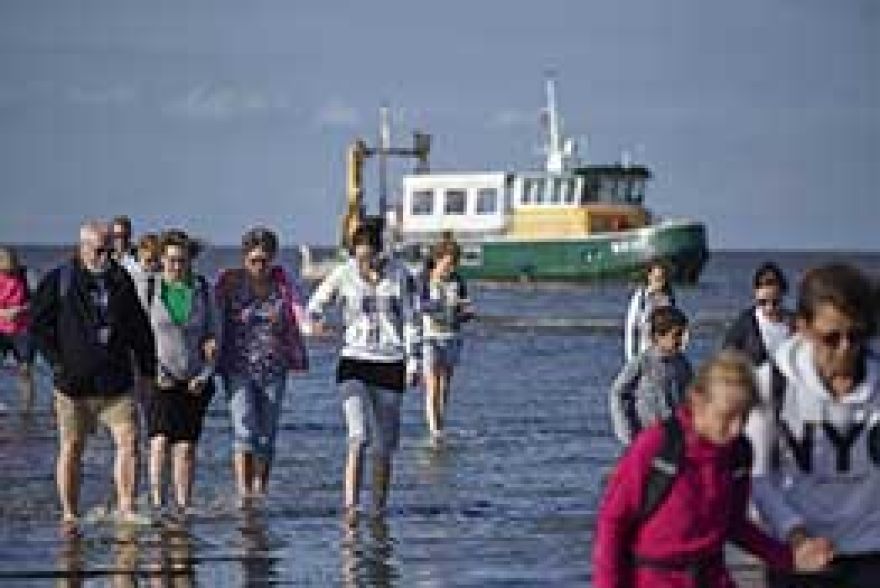 Alle Rundfahrten uber das Wattenmeer der Niederlande