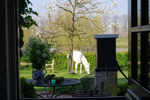 Bed und Breakfast fuer Koerperbehinderte in den Niederlanden