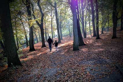 Herbst in der Provinz Overijssel Niederlande