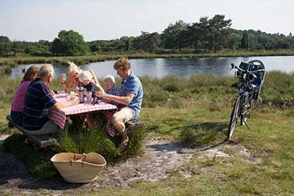 Landschaft der Provinz Drenthe Niederlande