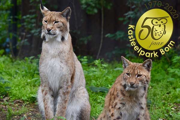 Streichelzoo Zoo in Limburg Niederlande