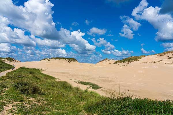 Campingplatz in den Duenen Nordhollands