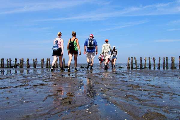 Hotel Waddenweelde ist der offizielle Startpunkt von Wattwandern Pieterburen Niederlande