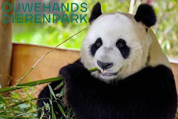 Kletterpark Niederlande