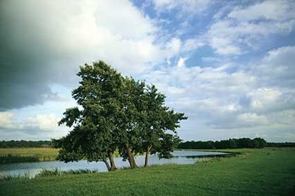 Lanschaft der Region Achterhoek in der Provinz Overijssel Niederlande