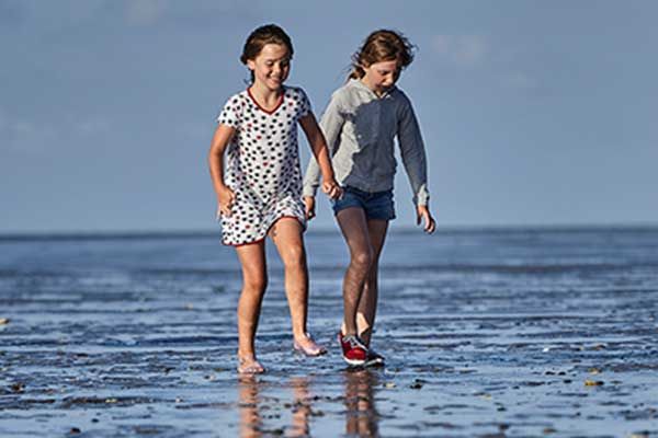 Wattwandern Wattenmeer Niederlande