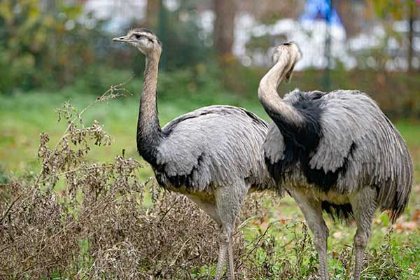Ausflug in Limburg Niederlande