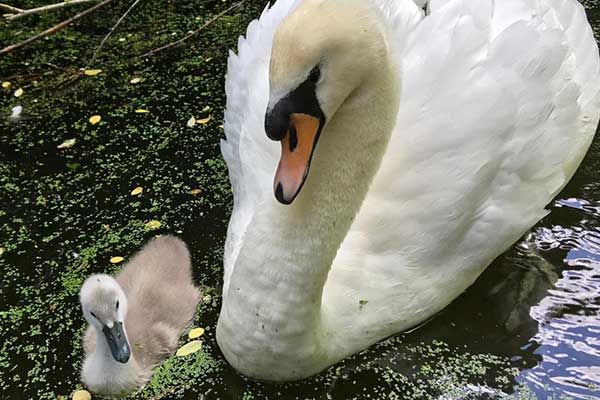 Tierpark in den Niederlanden