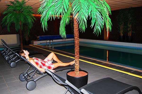 Badehaus mit Schwimmbad und Sauna Hotel Waddenweelde Holland