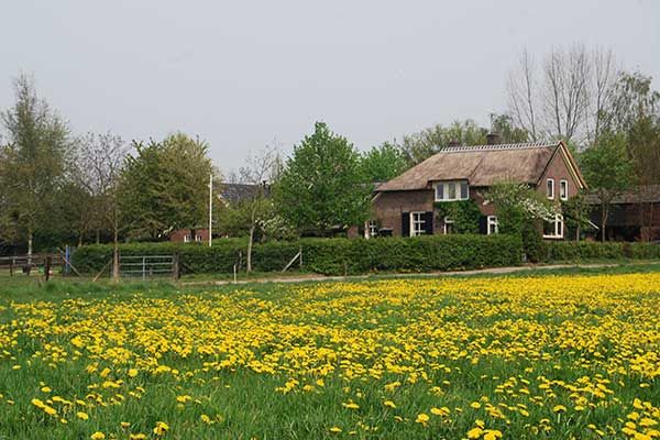 Bed und Breakfast Veluwe Niederlande