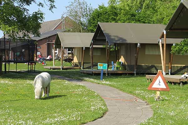 Froehlichsten Campingplatz der Niederlande fuer Jung und Alt