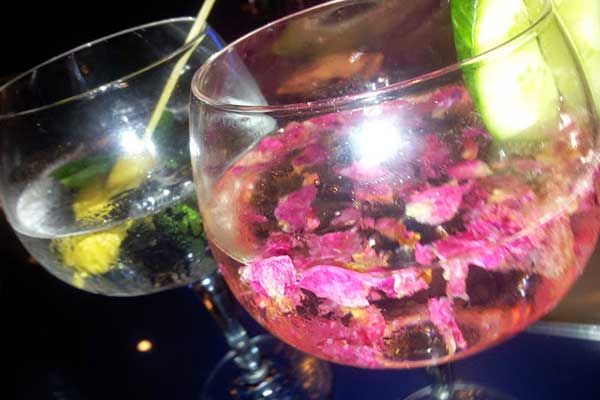 Unterschiedliche Gin Tonics in Amsterdam Niederlande