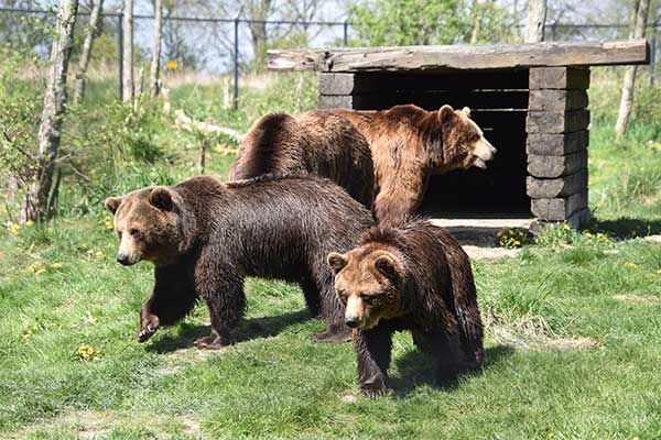 Vielseitiger Tierpark in den Niederlanden