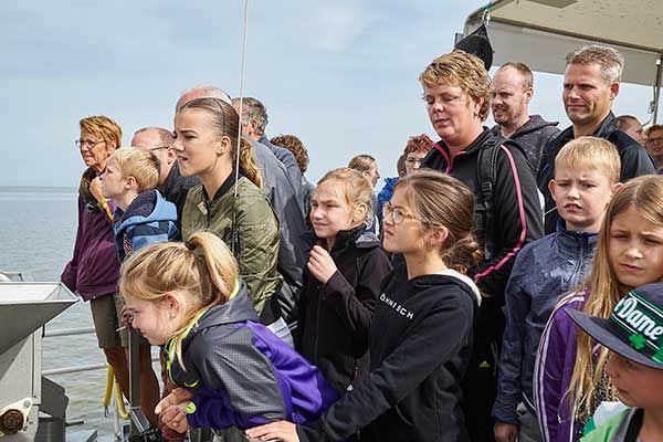 Garnelen fischen und an Lofflern und Seehunden vorbeifahren Wattenmeer Niederlande