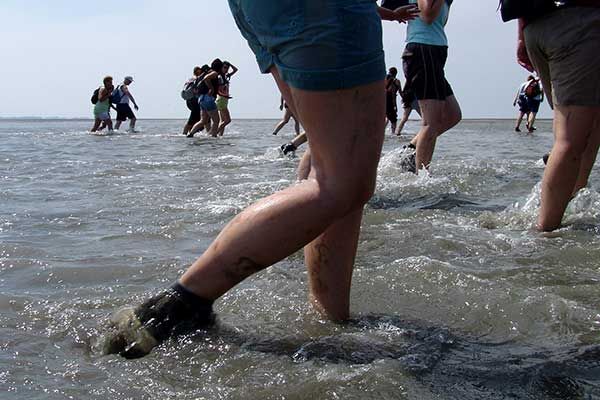 Wattwandern mit Kindern in den Niederlanden