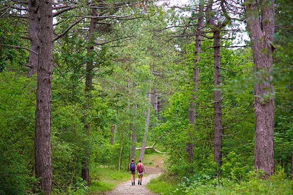 Umgebung des Ferienparks Duinrust in den Niederlanden