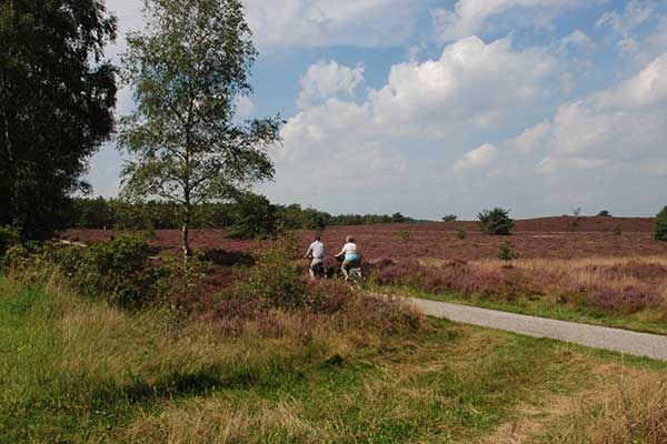 Radfahren Veluwe Niederlande